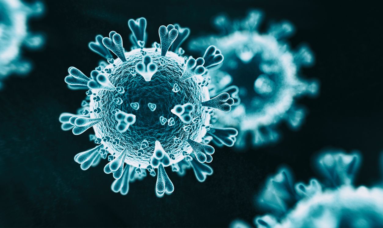 coronavirus cells